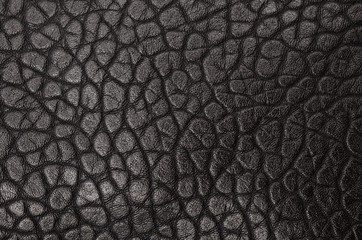 Black leather texture close up isolated on white
