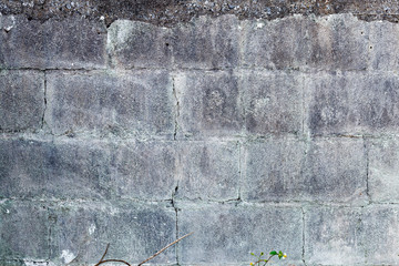 Okinawa Cement Texture