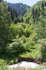 Gorge in the mountains of Tien Shan