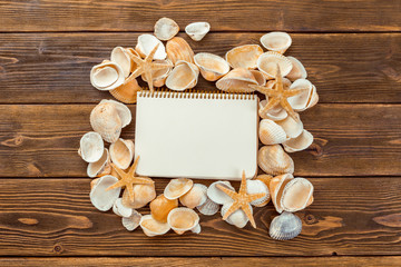 Shells and notepad on wooden table. Top view with copy space