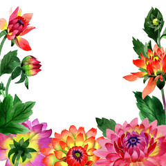 Wildflower dahlia flower frame in a watercolor style isolated.