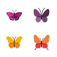 Obraz na płótnie Canvas Flat Icon Butterfly Set Of Archippus, Butterfly, Violet Wing And Other Vector Objects. Also Includes Butterfly, Insect, Monarch Elements.