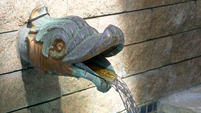 4K Bronze Fish Water Fountain Spout, Slow Motion Flow, Beautiful Art Monument