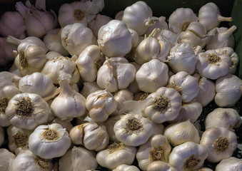 Garlic Bulb Cloves at Vegetable Stall Closeup