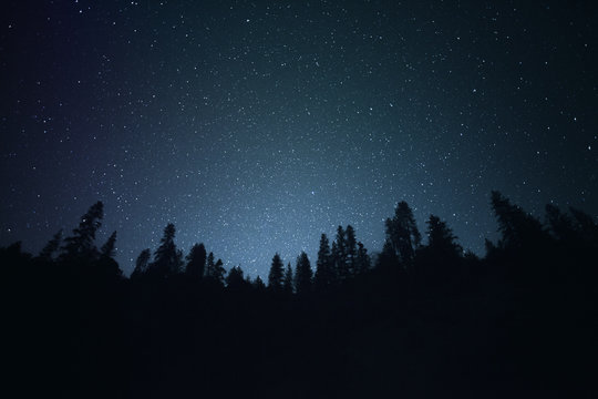 Starry Night |  Night Silhouette Tree Line