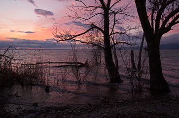 Naklejka na ściany i meble Sunset at the lake, with skeletal trees and plants, and beautiful colorful sky