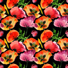 Wildflower poppy flower pattern in a watercolor style isolated.