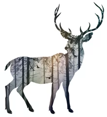 Poster Silhouette of a deer. Inside it is a misty coniferous forest with sun rays and flying birds. Isolated object on white background © kozerog2015