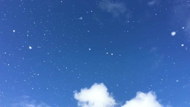 Snowflakes falling from the sky