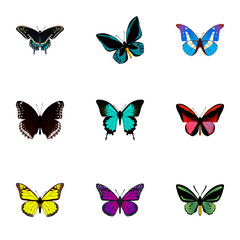 Fototapeta na wymiar Realistic Callicore Cynosura, Morpho Hecuba, Archippus And Other Vector Elements. Set Of Butterfly Realistic Symbols Also Includes Violet, Fly, Monarch Objects.