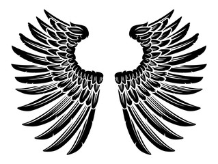 Pair of Eagle Bird or Angel Wings