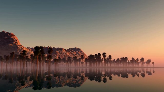 Tropical jungle background with palm tree silhouettes on island at sunset