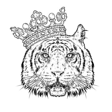 Beautiful tiger in the crown. Vector illustration for a postcard or a poster, print for clothes. Predator. Wild cat.
