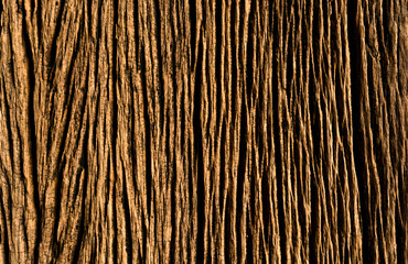 wooden texture background.