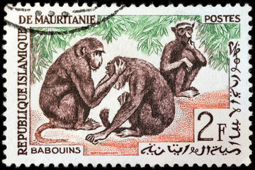 Three Baboons Stamp