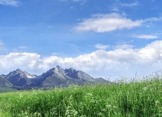 Fototapeta premium Beautiful mountain landscape.
