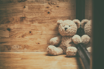 Teddy bear sit alone in the room