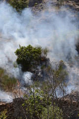 INCENDIO ESTIVO.MONTAGNA,SUD ITALIA