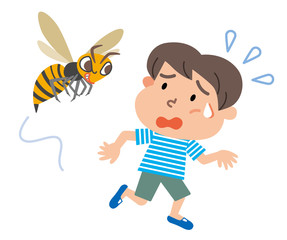 スズメバチ　男の子　