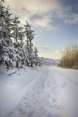 Wanderweg im Schnee_Hochformat