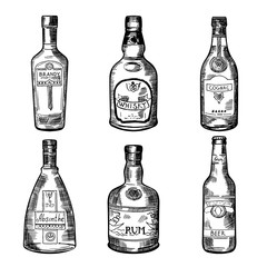 Different alcoholic drinks in bottles. Vector illustration in hand drawn style