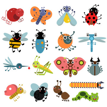 Vector illustration of insects and bugs. Characters set