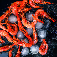 Shrimps on black background with ice - Food background with copyspace.