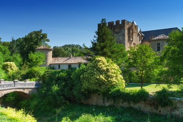 The medieval castle, surrounded by green trees, Allemagne en Provence, Provence, France, Europe