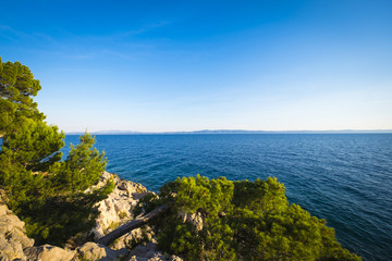 Park suma sveti Petar in Makarska Rivera in Croatia