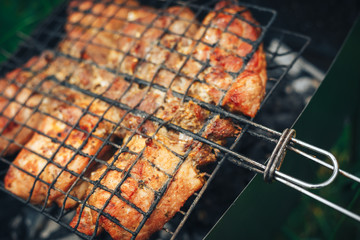 Barbecue skewers meat kebabs on flaming grill close up. Delicious backround