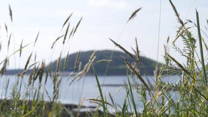 View to St Georges island Cornwall, UK