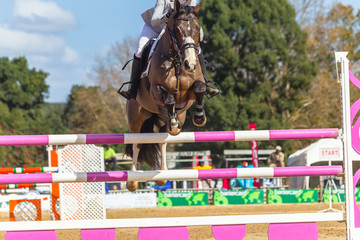 Rider Horse Jumping Poles Abstract Unidentified 