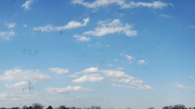 Myodesopsia (Eye Floaters) Looking at the Sky