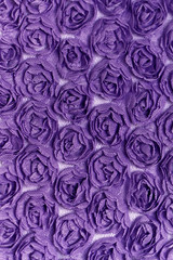 Purple rose background