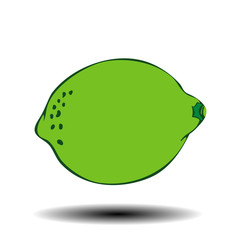 Vector illustration of a lime.