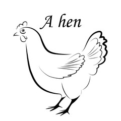 Chicken silhouette illustration vector isolated on white background