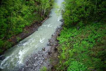 creek running through the forest