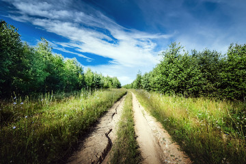 Fototapeta na wymiar Rural road landscape