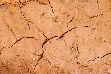 Dry ground cracked.