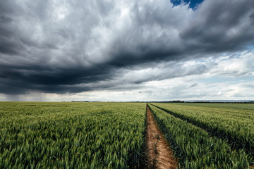 Unwetter ziehen über Felder