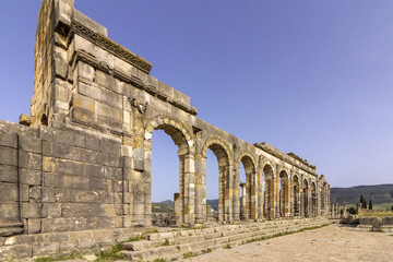 Fototapeta premium Archaeological Site of Volubilis, ancient Roman empire city, Unesco World Heritage Site