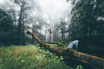 Fototapeta na wymiar Zelten im dunklen Nebel Wald