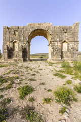 Fototapeta na wymiar Archaeological Site of Volubilis, ancient Roman empire city, Unesco World Heritage Site