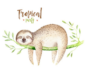 Baby animals sloth nursery isolated painting. Watercolor boho tropical drawing, child tropical illustration. cute palm tree leaves, tropic green texture, exotic flower. Aloha drawing © kris_art