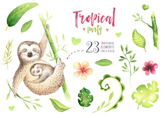 Baby animals sloth nursery isolated painting. Watercolor boho tropical drawing, child tropical illustration. cute palm tree leaves, tropic green texture, exotic flower. Aloha drawing © kris_art