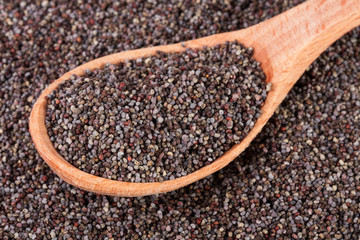 poppy seeds with a spoon as background close-up. Top view