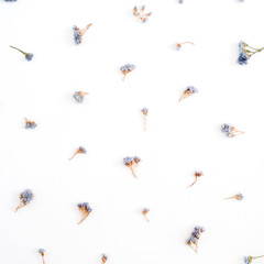 Floral pattern made of blue dried flowers on white background. Flat lay, top view. Floral pattern.