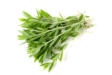 Thyme fresh herb isolated on white background