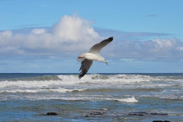 Australian beach