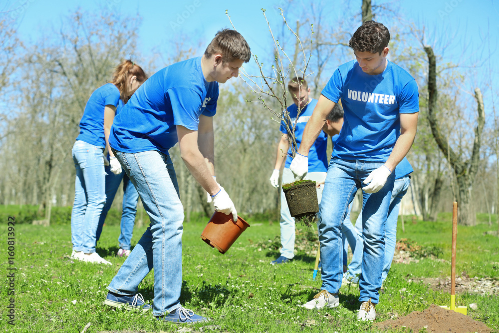 Poster Group of volunteers working in park on sunny day